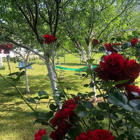 Villa Kuca Za Odmor Aiman *