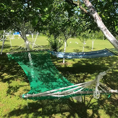 Kuca Za Odmor Aiman Villa