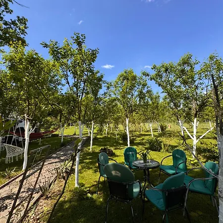 Villa Kuca Za Odmor Aiman