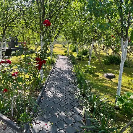 Kuca Za Odmor Aiman Villa