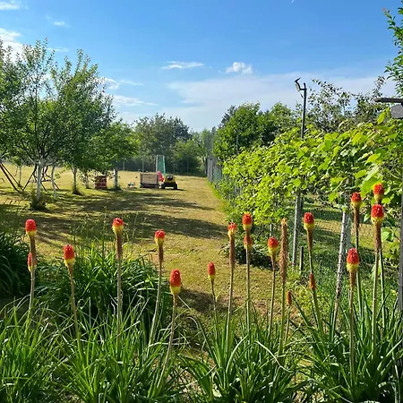 Villa Kuca Za Odmor Aiman Ripač