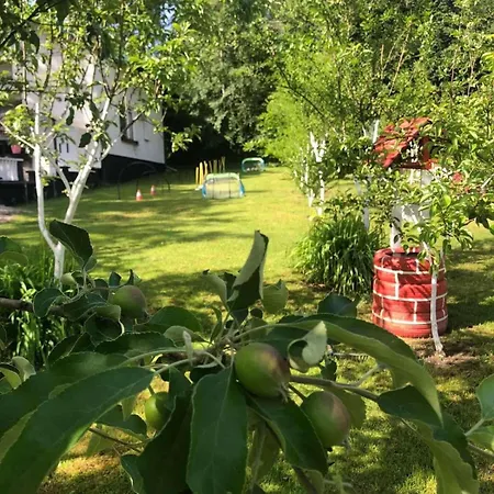 Villa Kuca Za Odmor Aiman *