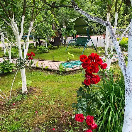 Villa Kuca Za Odmor Aiman Ripač